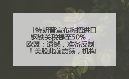 特朗普宣布将把进口钢铁关税提至50%，欧盟：遗憾，准备反制！美股此前震荡，机构：美元正进入熊市