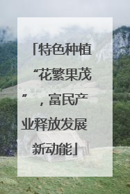 特色种植“花繁果茂”，富民产业释放发展新动能