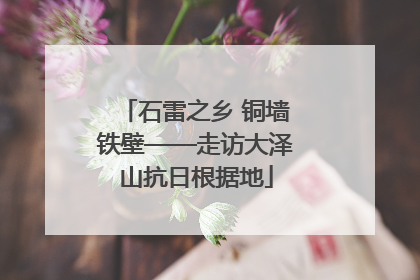 石雷之乡 铜墙铁壁——走访大泽山抗日根据地