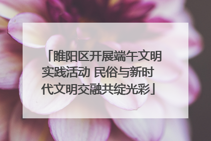 睢阳区开展端午文明实践活动 民俗与新时代文明交融共绽光彩