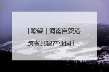 瞭望｜海南自贸港跨省共建产业园