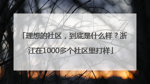 理想的社区，到底是什么样？浙江在1000多个社区里打样