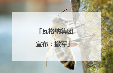 瓦格纳集团宣布：撤军