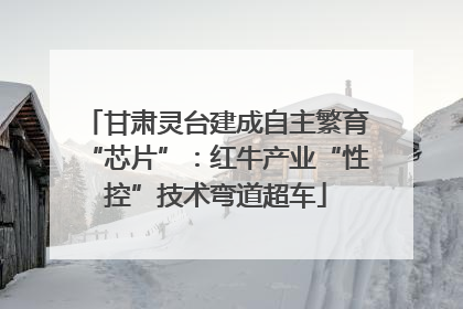甘肃灵台建成自主繁育“芯片”：红牛产业“性控”技术弯道超车