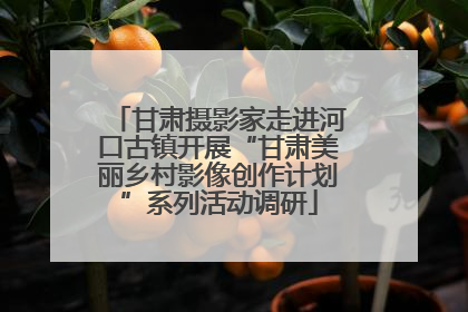 甘肃摄影家走进河口古镇开展“甘肃美丽乡村影像创作计划”系列活动调研