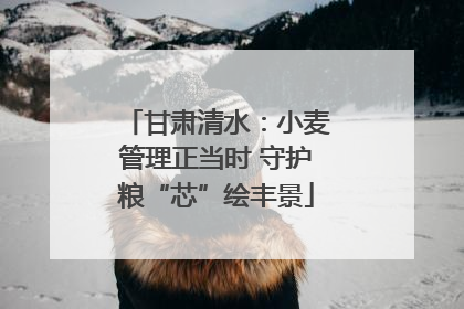 甘肃清水：小麦管理正当时 守护粮“芯”绘丰景
