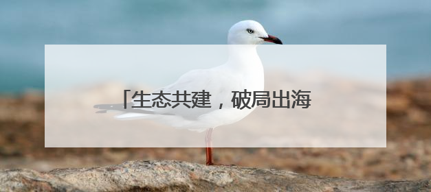 生态共建，破局出海！静安“全球服务商计划”赋能电商闯世界