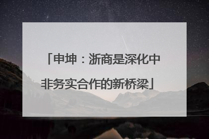 申坤：浙商是深化中非务实合作的新桥梁