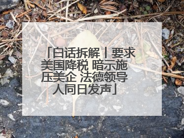 白话拆解丨要求美国降税 暗示施压美企 法德领导人同日发声