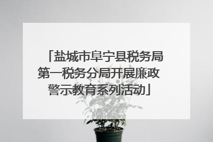 盐城市阜宁县税务局第一税务分局开展廉政警示教育系列活动