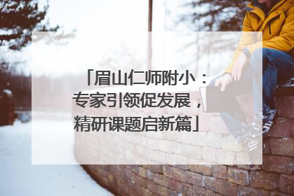 眉山仁师附小：专家引领促发展，精研课题启新篇