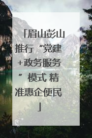 眉山彭山推行“党建+政务服务”模式 精准惠企便民