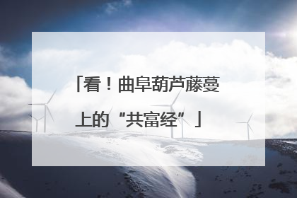 看！曲阜葫芦藤蔓上的“共富经”