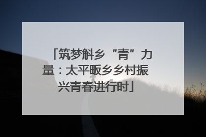 筑梦斛乡“青”力量：太平畈乡乡村振兴青春进行时