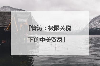 管涛：极限关税下的中美贸易