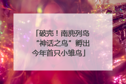 破壳！南麂列岛“神话之鸟”孵出今年首只小雏鸟
