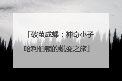 破茧成蝶：神奇小子哈利伯顿的蜕变之旅