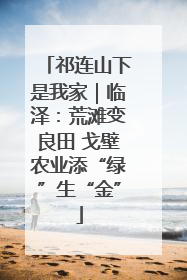 祁连山下是我家｜临泽：荒滩变良田 戈壁农业添“绿”生“金”