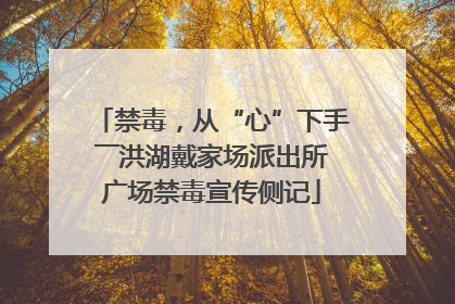 禁毒，从“心”下手――洪湖戴家场派出所广场禁毒宣传侧记