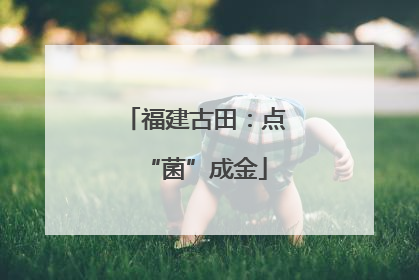 福建古田：点“菌”成金
