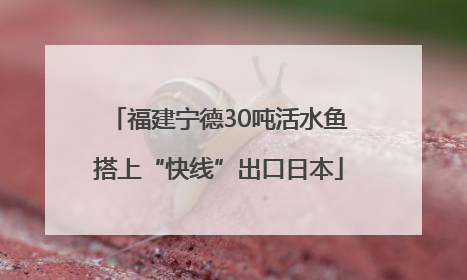 福建宁德30吨活水鱼搭上“快线”出口日本