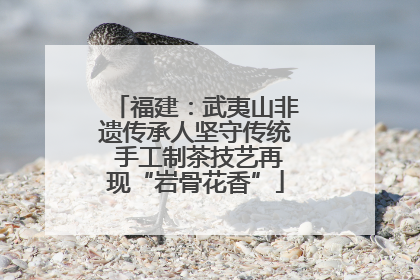 福建：武夷山非遗传承人坚守传统 手工制茶技艺再现“岩骨花香”