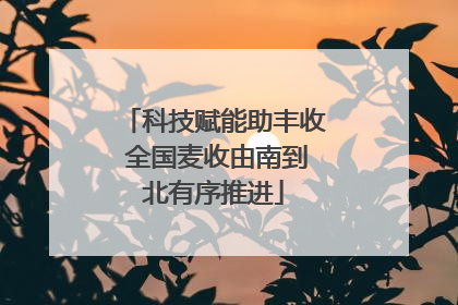 科技赋能助丰收 全国麦收由南到北有序推进