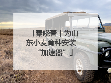 秦晓春｜为山东小麦育种安装“加速器”