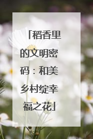 稻香里的文明密码：和美乡村绽幸福之花