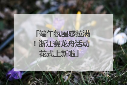 端午氛围感拉满！浙江赛龙舟活动花式上新啦