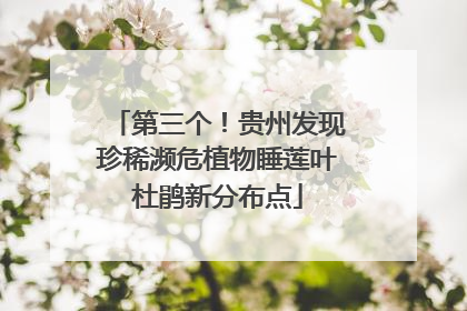 第三个！贵州发现珍稀濒危植物睡莲叶杜鹃新分布点
