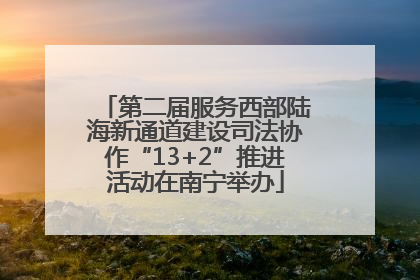 第二届服务西部陆海新通道建设司法协作“13+2”推进活动在南宁举办
