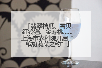 翡翠桔瓜、雪贝、红铃铛、金寿桃……上海市农科院开启“缤纷蔬菜之约”