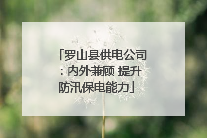 罗山县供电公司：内外兼顾 提升防汛保电能力