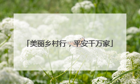 美丽乡村行，平安千万家