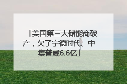 美国第三大储能商破产，欠了宁德时代、中集普威6.6亿