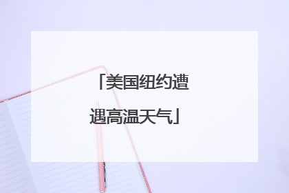 美国纽约遭遇高温天气