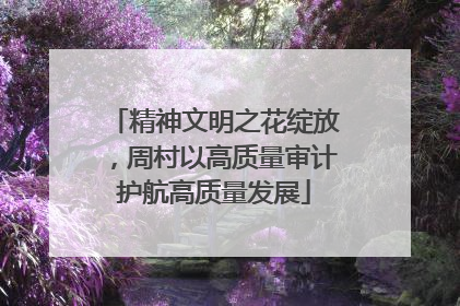 精神文明之花绽放，周村以高质量审计护航高质量发展