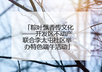 粽叶飘香传文化——开发区不动产联合李太屯社区举办特色端午活动
