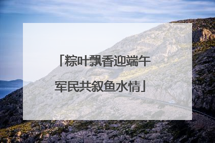 粽叶飘香迎端午 军民共叙鱼水情