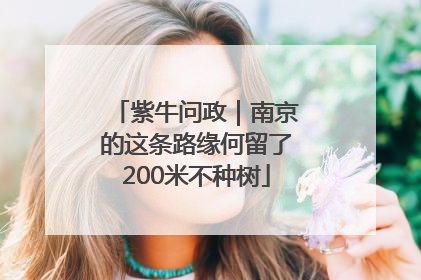 紫牛问政｜南京的这条路缘何留了200米不种树