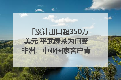 累计出口超350万美元 平武绿茶为何受非洲、中亚国家客户青睐？｜发布会观察
