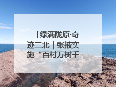 绿满陇原·奇迹三北｜张掖实施“百村万树千里林”工程