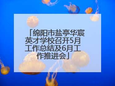 绵阳市盐亭华宸英才学校召开5月工作总结及6月工作推进会
