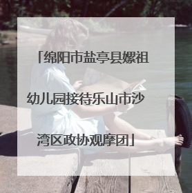 绵阳市盐亭县嫘祖幼儿园接待乐山市沙湾区政协观摩团