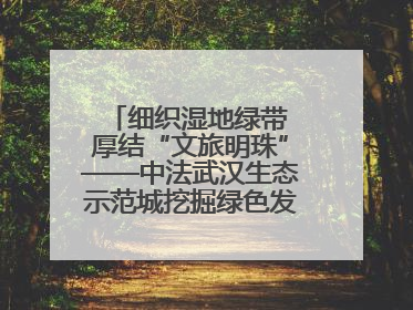 细织湿地绿带 厚结“文旅明珠”——中法武汉生态示范城挖掘绿色发展新动能