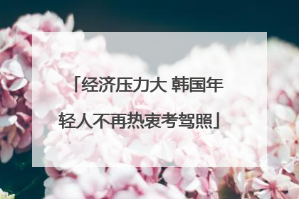 经济压力大 韩国年轻人不再热衷考驾照