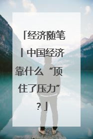 经济随笔丨中国经济靠什么“顶住了压力”？