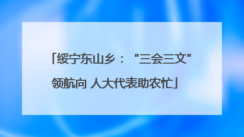 绥宁东山乡：“三会三文”领航向 人大代表助农忙