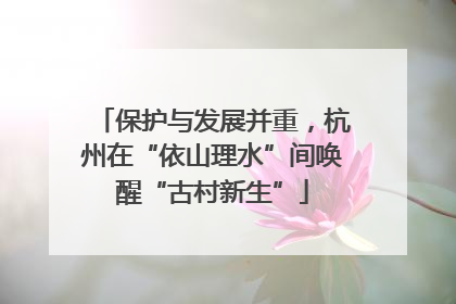 保护与发展并重，杭州在“依山理水”间唤醒“古村新生”